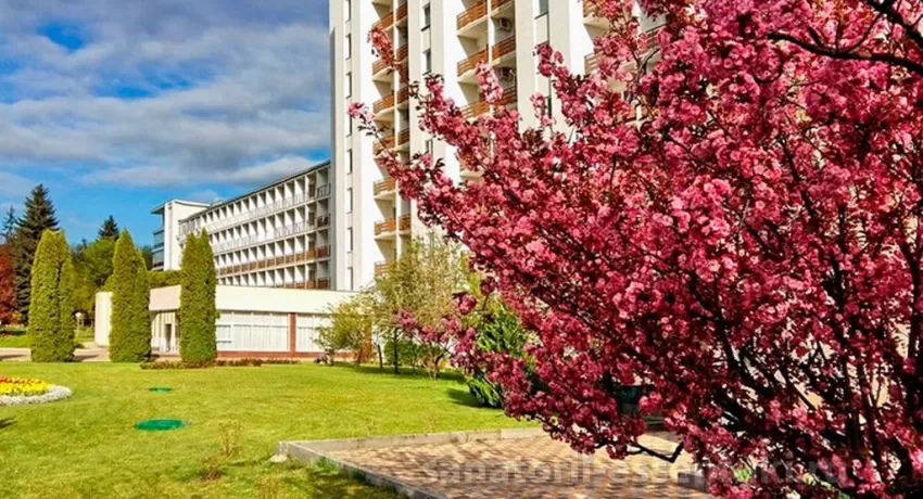 Санаторий Москва, фото 19