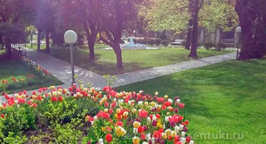 Санаторий Москва, фото 40