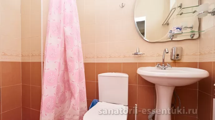 Санаторий Центр-Союз Номер 1 категория, фото 5
