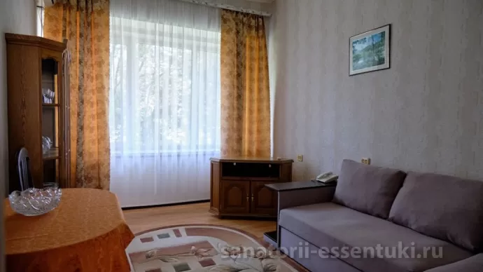 Санаторий Вернер Номер Комфорт, фото 5